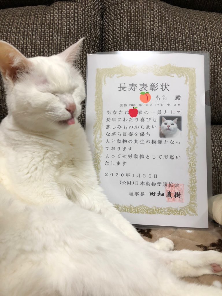 長生きした犬や猫を表彰してもらえる制度があるらしい Togetter