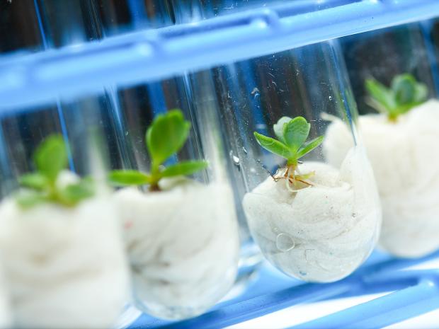evans_riya's tweet photo. More interesting updates on Biotechnology
Explore your research activities at World Biotechnology 2020 #London #UK
Don't miss the chance to Book your slots in advance
@BiotechMongoose @Adam_SH69  @AndyBiotech
#biotechnology #animalbiotechnology #agiculturebiotechnology https://t.co/uwuhbp0yoz