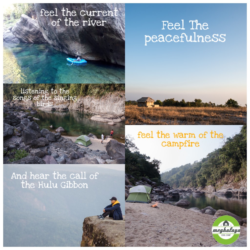Meghalayacoolc1's tweet photo. Meghalaya Cool Camp provide a local travel package to the people who have interest on camping, hiking, trekking, kayaking, etc we are also the Children's and the pet's friendly travelling company. Our aim is to bring people closer to our mother Nature and feel her love towards us https://t.co/CsjD7UZtqi