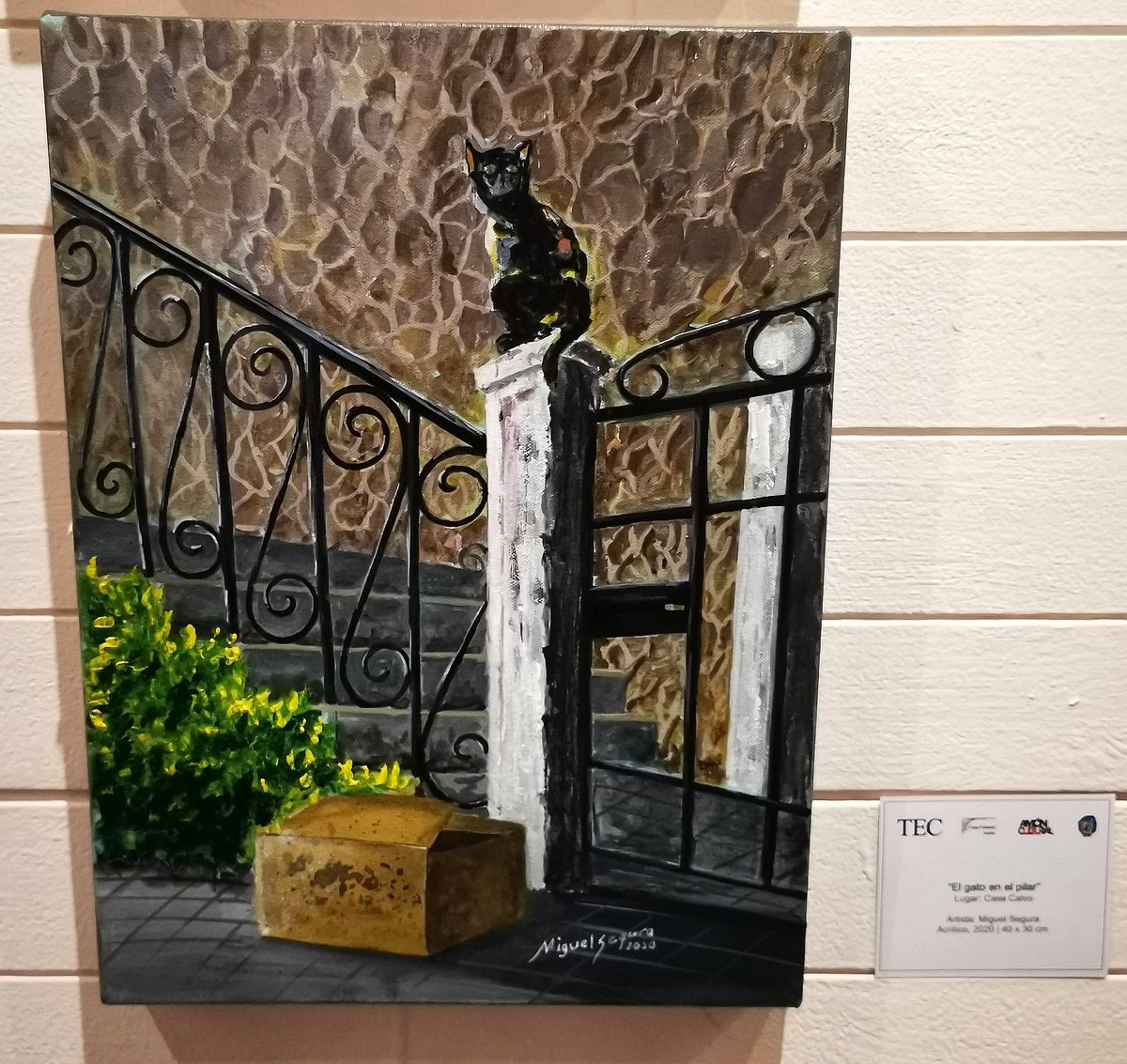 Asociación de Vecinos de Barrio Amón. tweet media