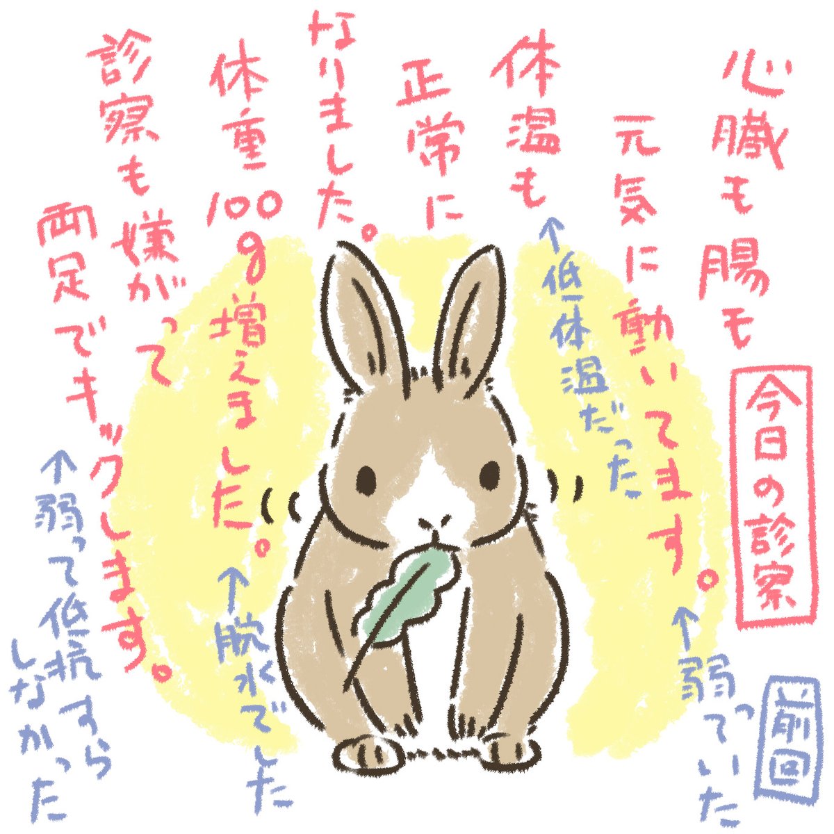 有田ようこ ｲﾗｽﾄﾚｰﾀｰ うさぎも親身に診てくれて 新しい動物の医療や ヨーロッパでのうさぎ の飼育とか はたまた野生のうさぎの食べるものとか いろいろ話をしてくれて前向きに声をかけてくれる先生のいる病院全体が好きだ Twitter