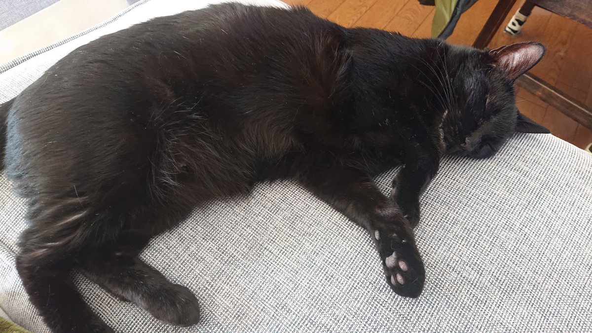 鬼滅の刃 これからark始める方々に 天井から飛び出ない柱の増設方法をお伝えします こ 海鼠の漫画