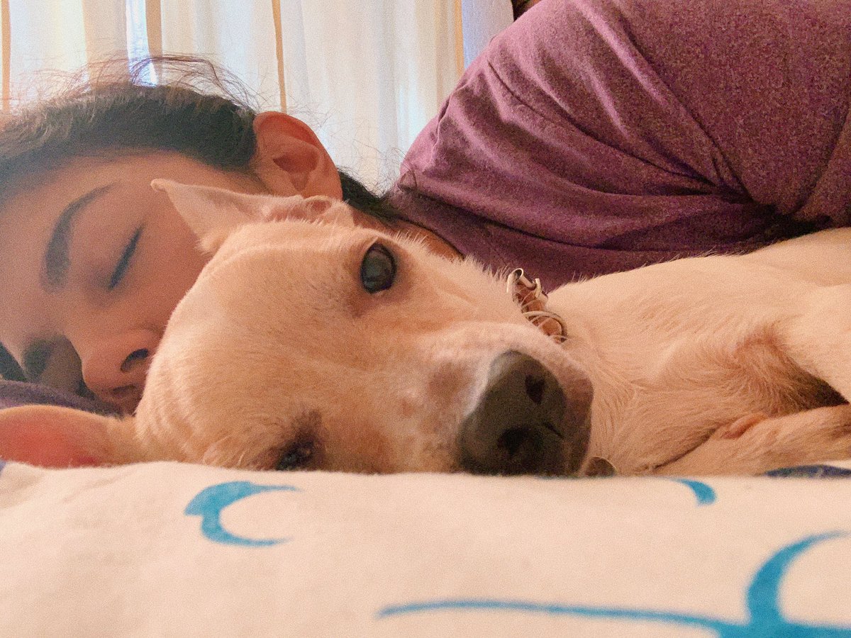 paosangerman's tweet photo. Te amo con el almaaaa🥺😍 https://t.co/aqBr6OGs2L