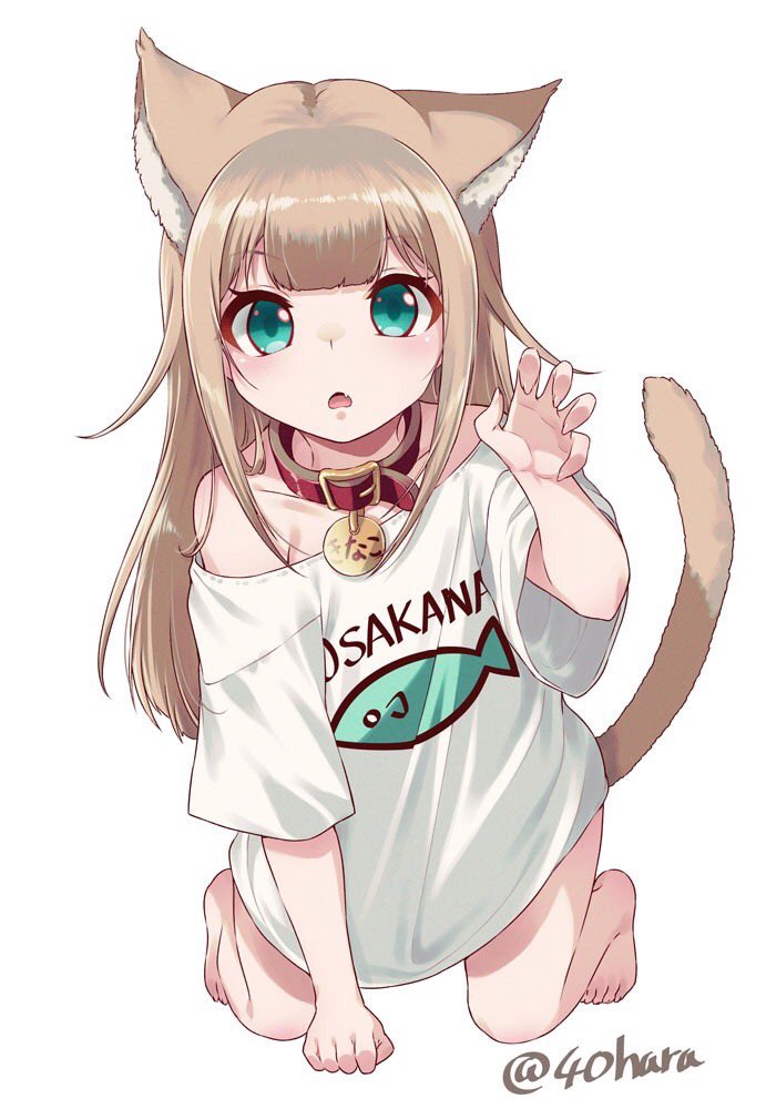 40原 コラボカフェ開催中 今日は猫の日٩ W و 猫の日 うちのねこが女の子でかわいい T Co Fsholflgtn Twitter