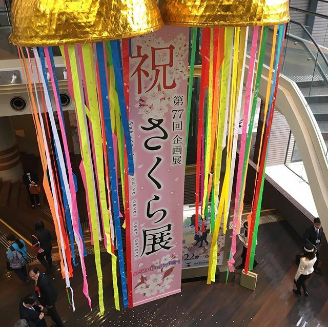 さくら展、オープン❣️🌸 #さくら #桜　#sakura #無添加 #やさしい #さくらのかおり #桜川 #和風 #ミュージアムパーク茨城県自然博物館 #さくら展 #坂東市 #茨城県