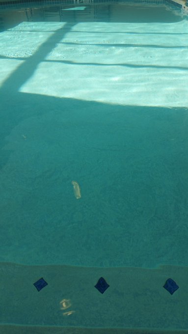 Swimsuit days are the best days.   I've put up a few more swimsuit selfies on my OnlyFans (https://t