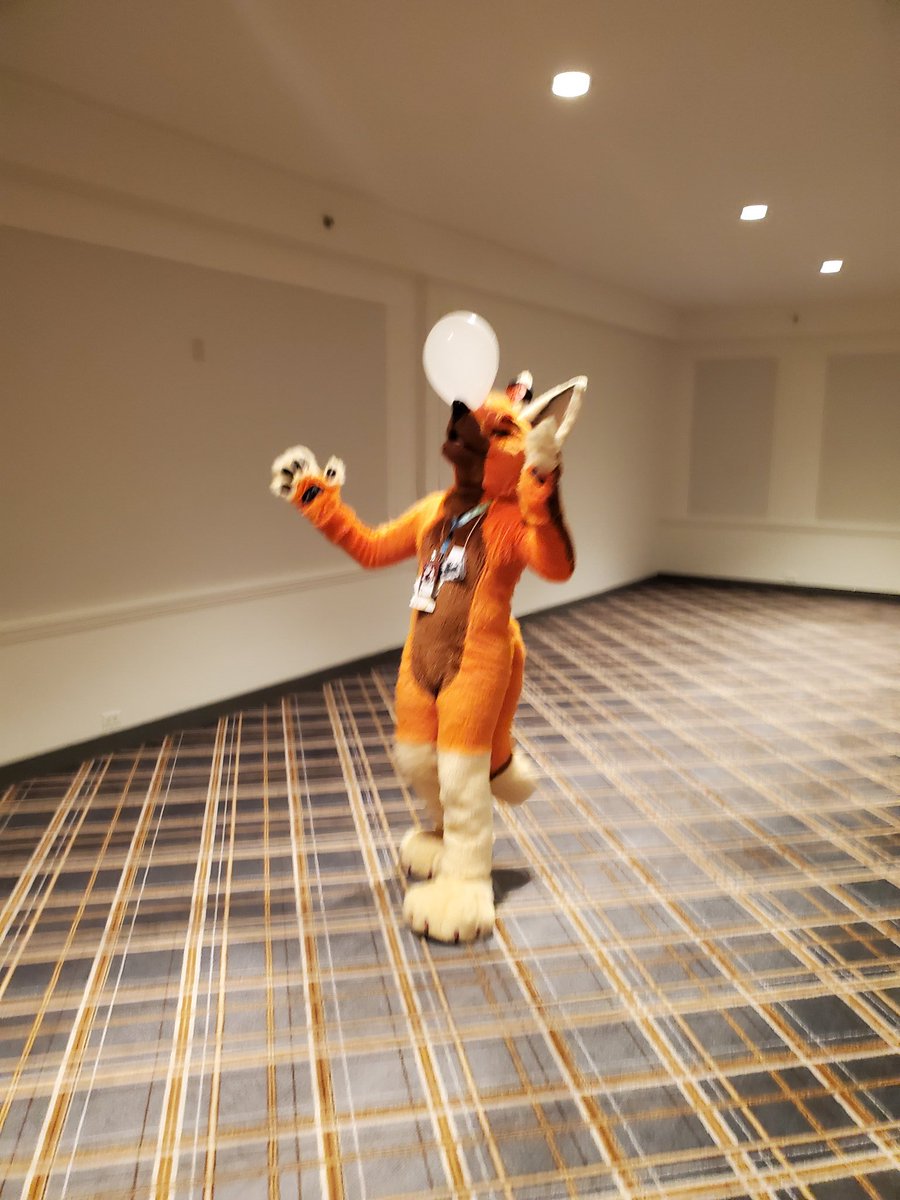 ThatHappyLilFox's tweet photo. Amaaaazing Friday at #ANE2020!! Meet and bleats, karaoke, fun panels, friends new and old. This is what life's all about ♥️♥️♥️🦊 https://t.co/npe2lSsdS5