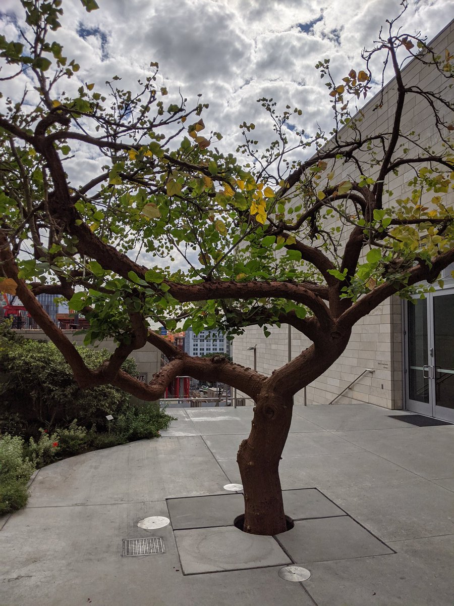 Rojo_VHS's tweet photo. Lovely day with @vhsSTEMM in DTLA @VHSGondos https://t.co/FGX9YWDz1O