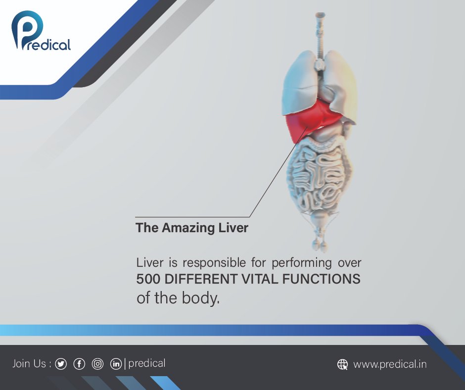 PredicalP's tweet photo. The liver is a large organ that sits on the right hand side of the belly. #NEET #NEETUG #NEET2020 #NeetExclusive #NeetKnowledge #mcqs #TestSeries #Videolecture #Exams #Education #onlinelearning #SaturdayThoughts #SaturdayVibes #Predical
visit: https://t.co/F9S1tbAK2l https://t.co/huhmg97otr