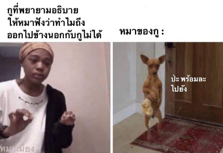 ✨리리타🪐 tweet media
