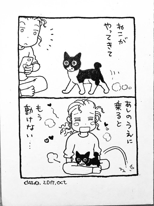 ねこのひ(再掲 