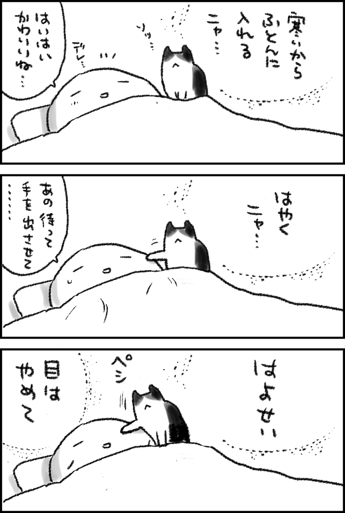 猫の押し入り 