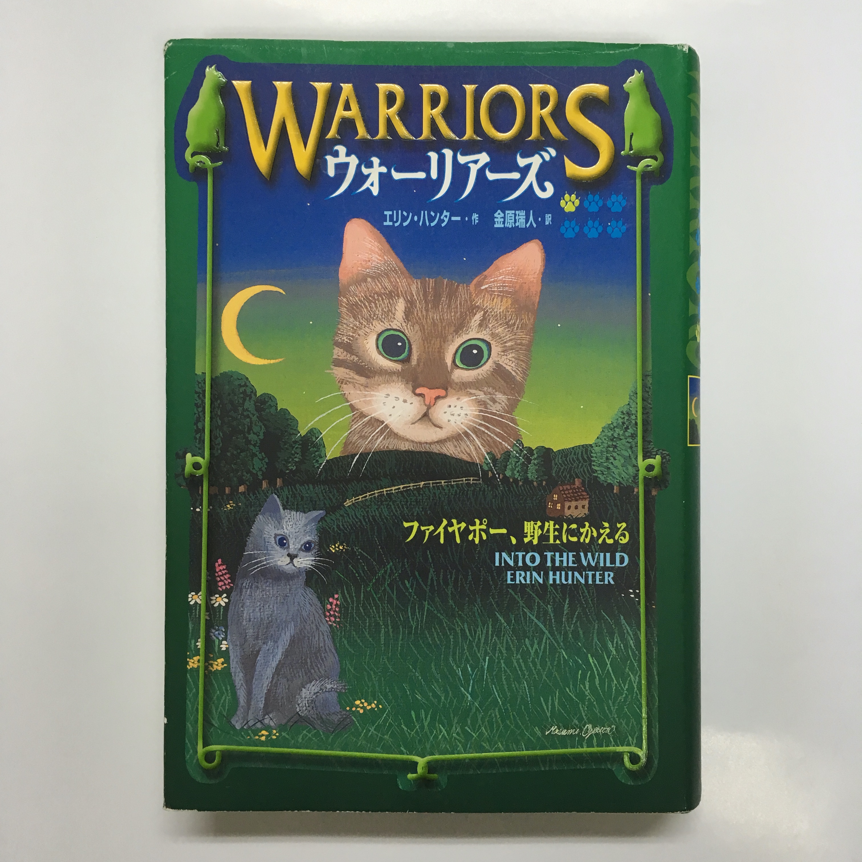 Warriors Homepage Warriorsfun Twitter