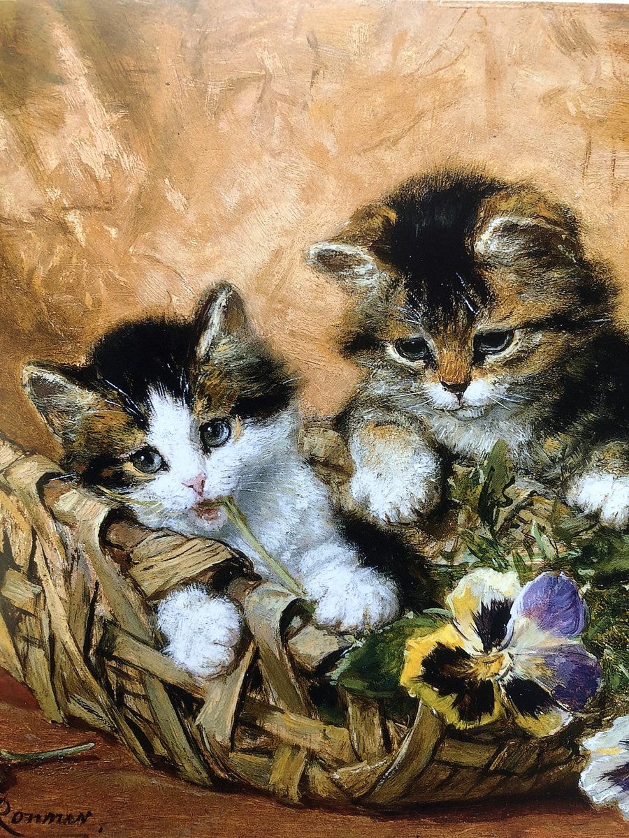 Yoko_Morita4428's tweet photo. 猫の日に

自室にある
たくさんの小さな骨壷は
捨てられていた猫や犬たち

淋しいもの同士
一緒に暮らそうねと
抱き上げ   愛した 小さな命

私が元気な間に
山荘の庭に
この子達のお墓を作るべく
今日  業者に  依頼しました https://t.co/xrVWXt4eN3