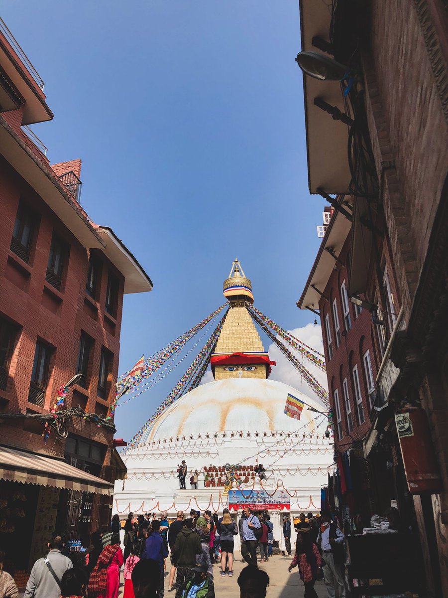 Boudha Twitter Search