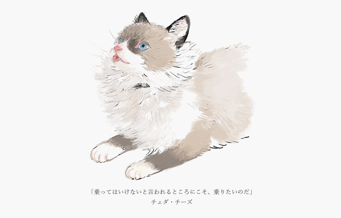 「#猫の日 」|ねこ助のイラスト