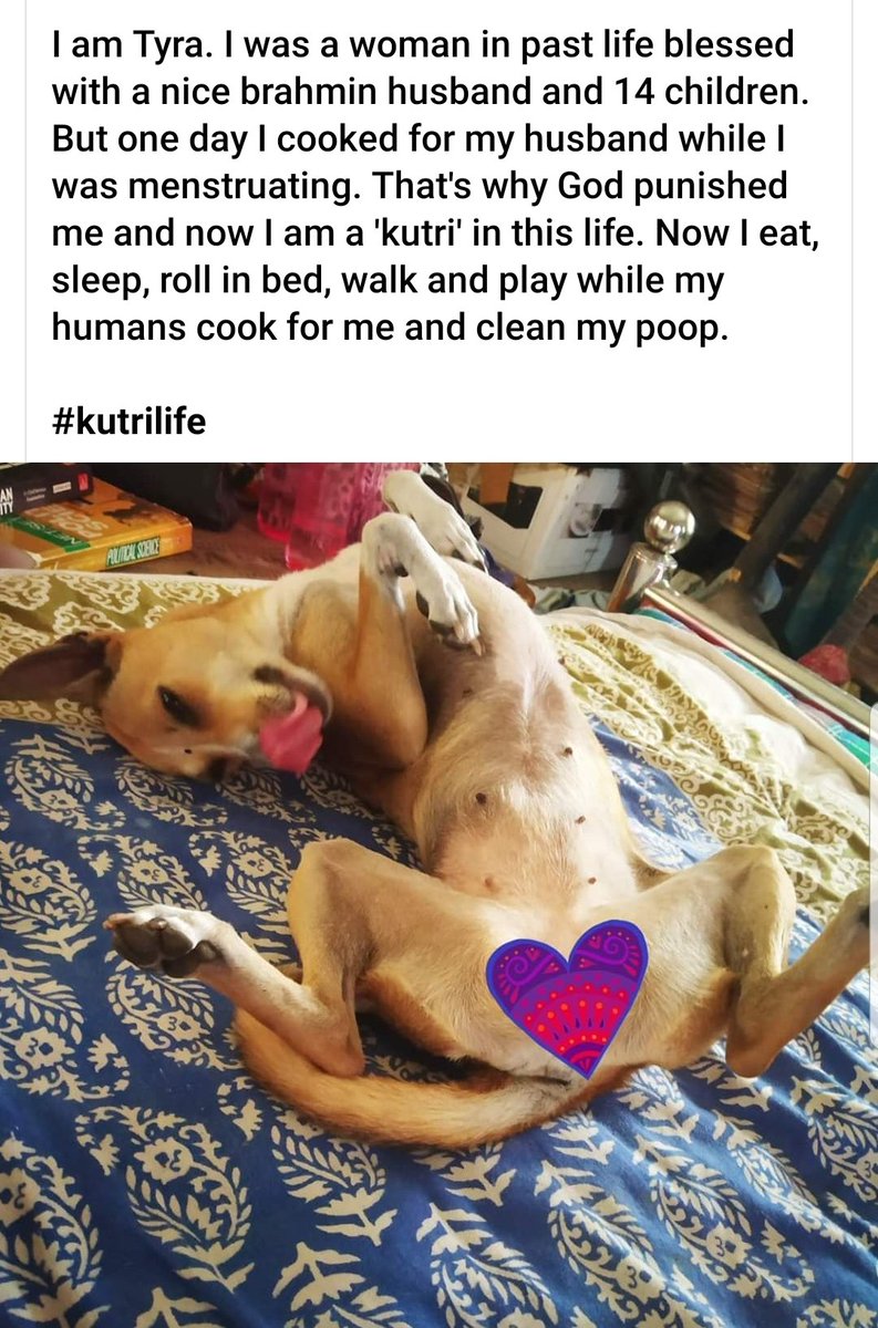 ikaveri's tweet photo. Be a #kutri https://t.co/JwlzsWFpfH