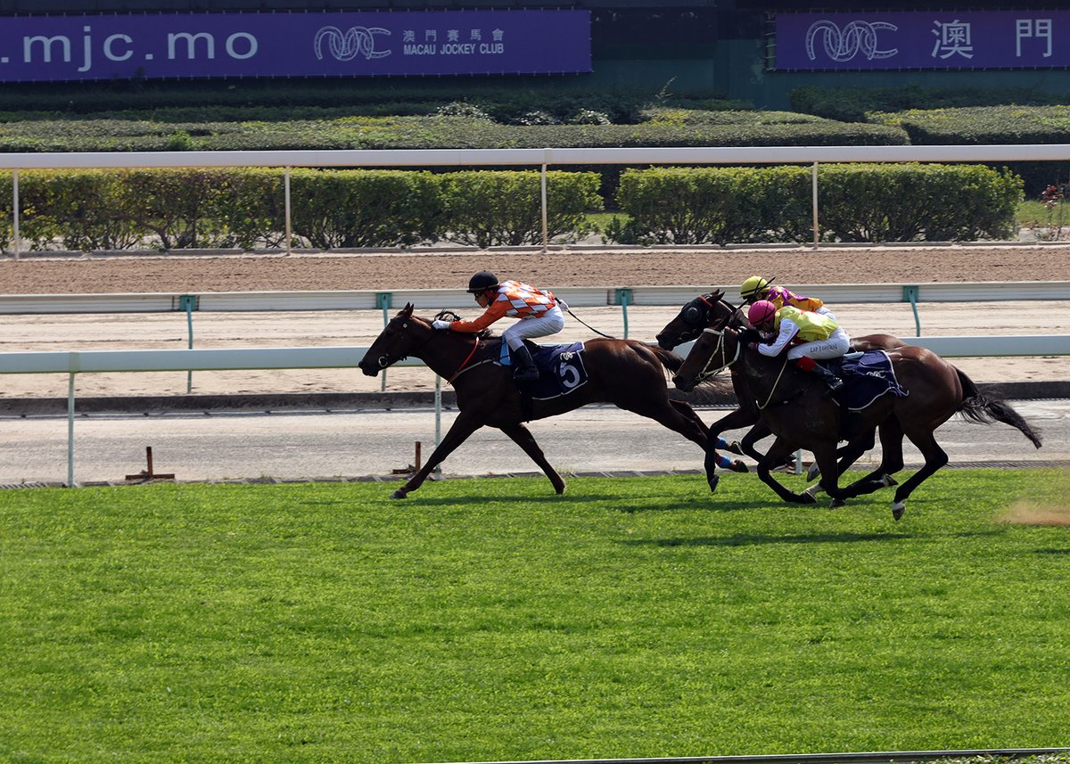 22 February 2020 Racemeeting. Ridden by S.Nakano. 'ONEOFTHEGREATS' wins Race 5.