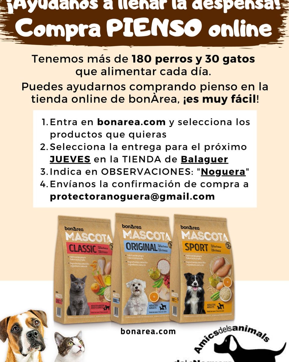 santuarinoguera's tweet photo. Aquest gener ha estat un mes díficil pel temporal i la quantitat d'operacions al veterinari. Així que per remuntar el deute, hem iniciat 15 dies de campanya.
Vés a https://t.co/Si9HlSoRIT, tria "recollir a botiga BALAGUER" i a observacions posa "Noguera".
Necessitem: pinso de 🐶 https://t.co/nQIUOlvGA4