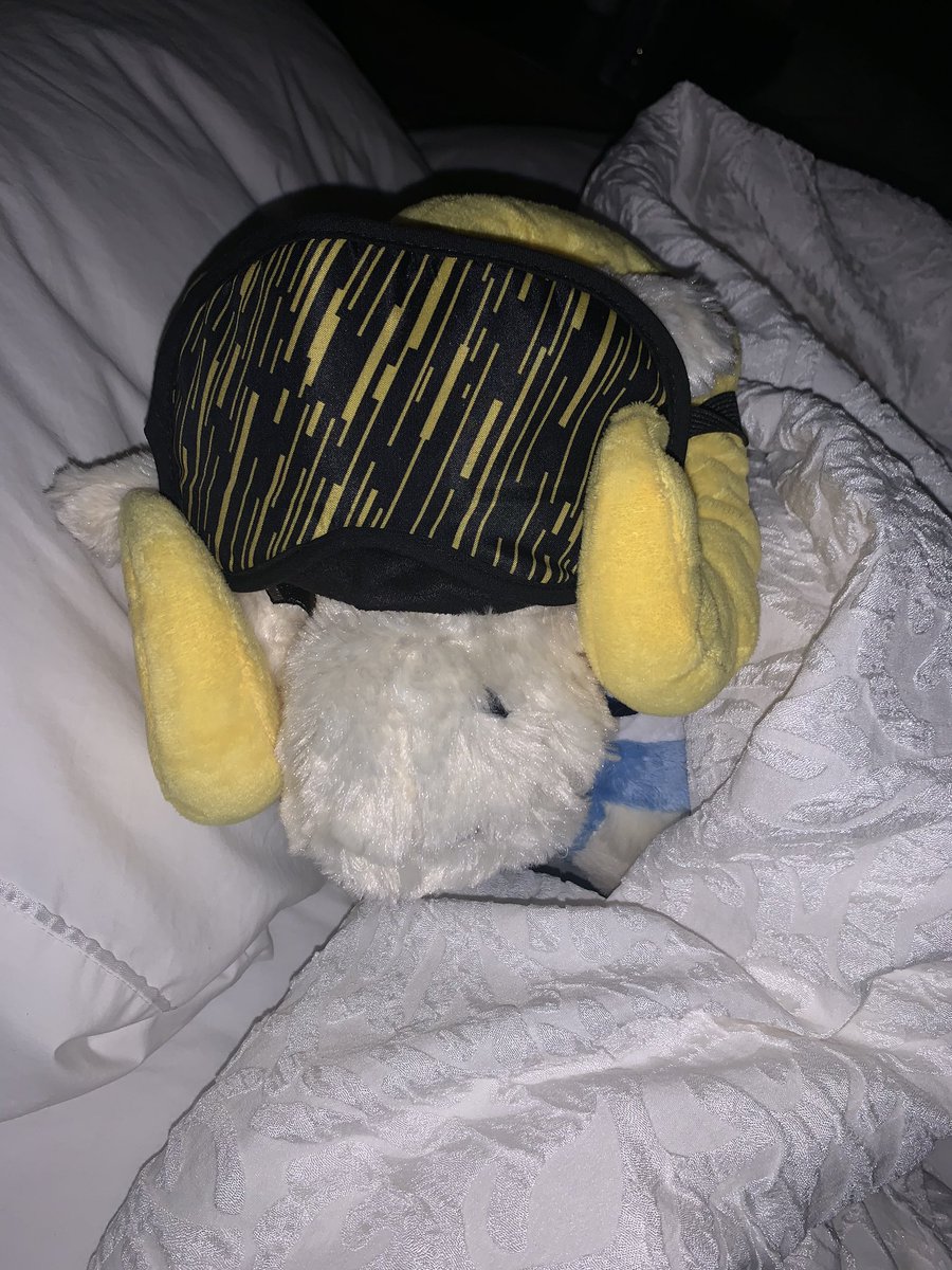 CUAB's tweet photo. It’s been a long day and poor Jerry is tuckered out! Please welcome the newest member of the CUAB family - Jerry! Follow our social media to see what Jerry is up to at NACA in Denver, CO! #jerryatnaca #cuablovesyou #naca2020 https://t.co/noPpnzKfnf