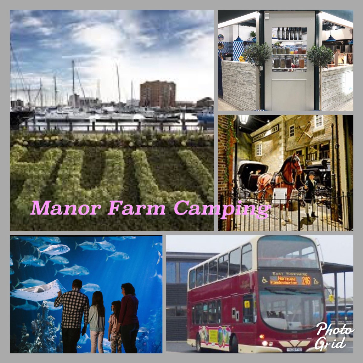 So much to see and do in Hull. Regular public transport from camp everyday <a href="/mfcamp2014/">Manor Farm Camping</a> . <a href="/EYBuses/">East Yorkshire</a> <a href="/HullMaritime/">Hull Maritime</a> <a href="/HullMarina/">Hull Marina</a> <a href="/TrinityMarket1/">Trinity Market Hull</a> <a href="/Hull_Museums/">Hull Museums</a> <a href="/thedeephull/">The Deep</a> <a href="/VHEY_UK/">Visit Hull & East Yorkshire</a> <a href="/VisitHull/">Visit Hull</a> <a href="/VisitBeverley/">Visit Beverley</a> #camping #familycamping #familytime