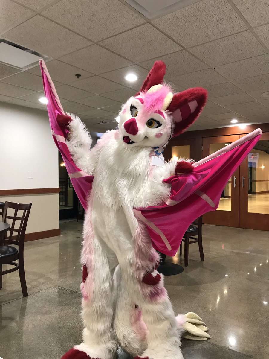 Kingkougra1's tweet photo. @MidwestFurBowl fun night tonight! Thank u!! https://t.co/YQ5N8QVXZ6