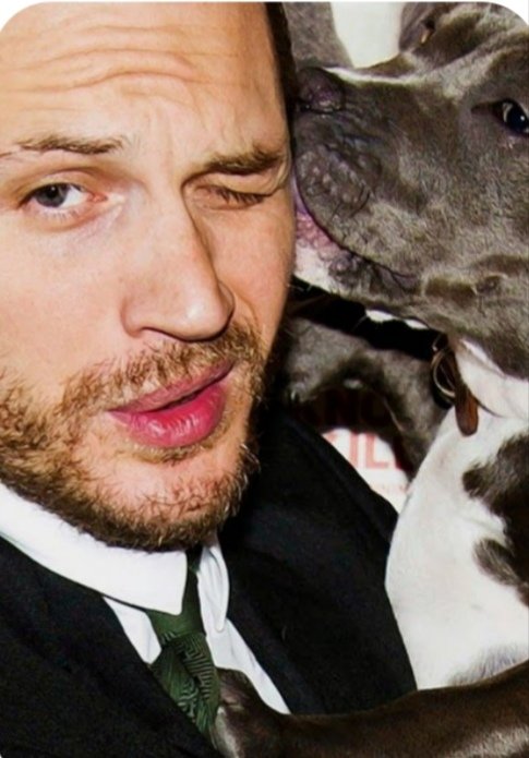 Хью джекман инстаграм. Актер и его собака. Собака брюса уиллиса. Актер и его собака. Актер и его собака.