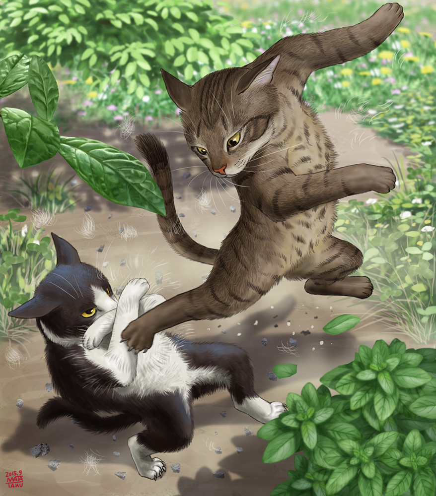 対決 仲直り 猫の日 瞬く 絵のお仕事募集中 のイラスト