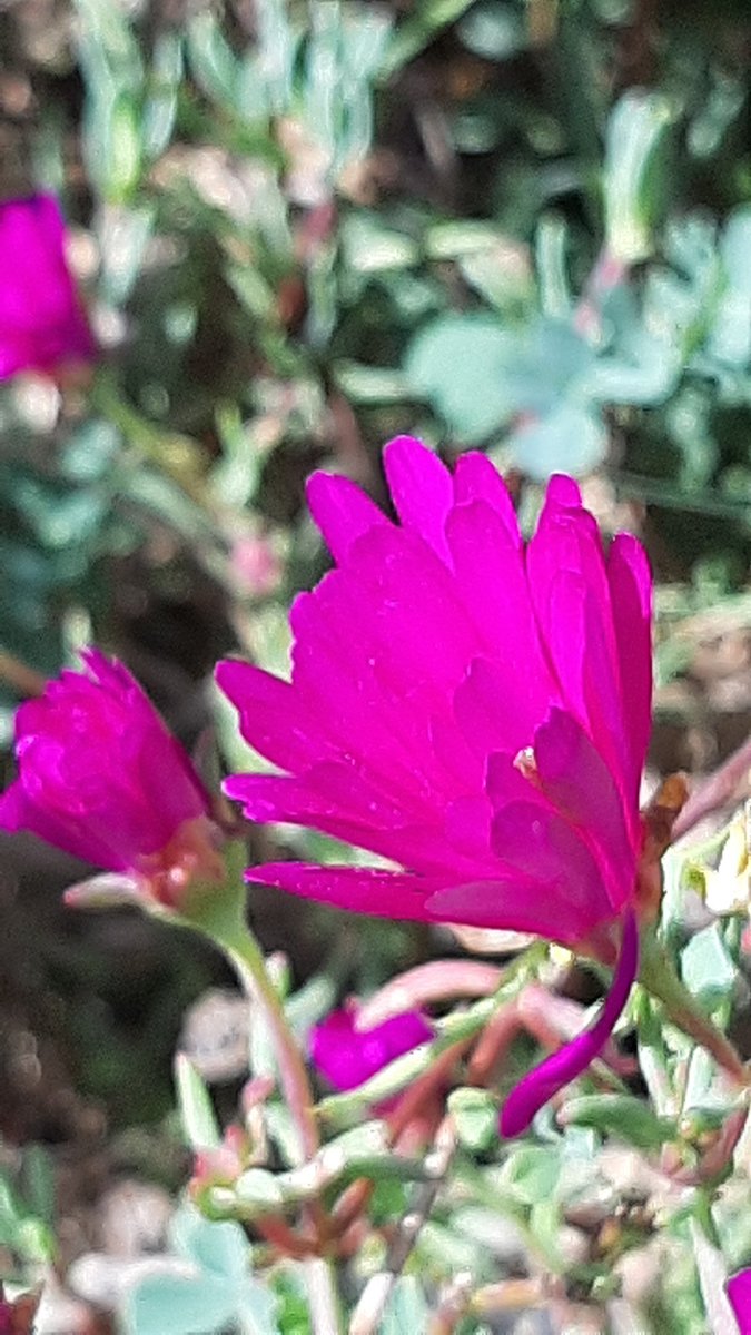 Miguel Manibardo tweet media