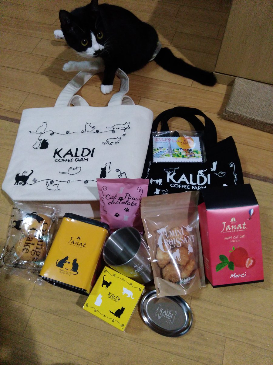 jigzs8bsVVByZXY's tweet photo. #下半身麻痺 #猫 #猫の日 #KALDI猫バッグ
無事にGET♪今年は2種類～

そして結婚記念日、しかも銀婚式♡
25年、連れ添ってくれた夫に感謝
(❁ᴗ͈ˬᴗ͈) https://t.co/pZKlNQKWZs