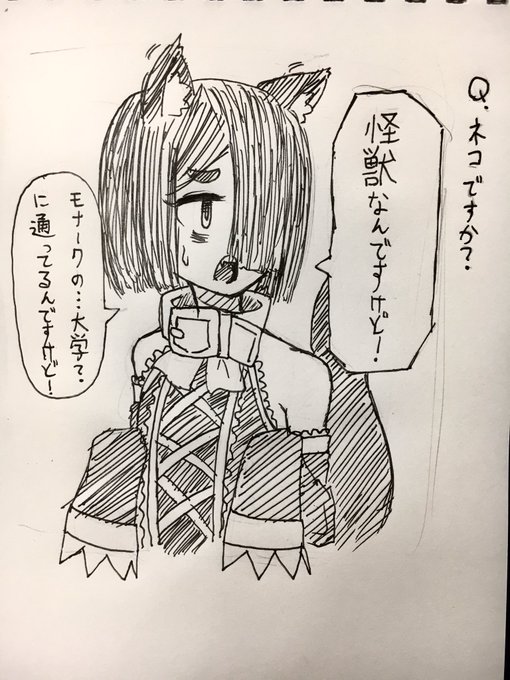 猫の日だそうですね 