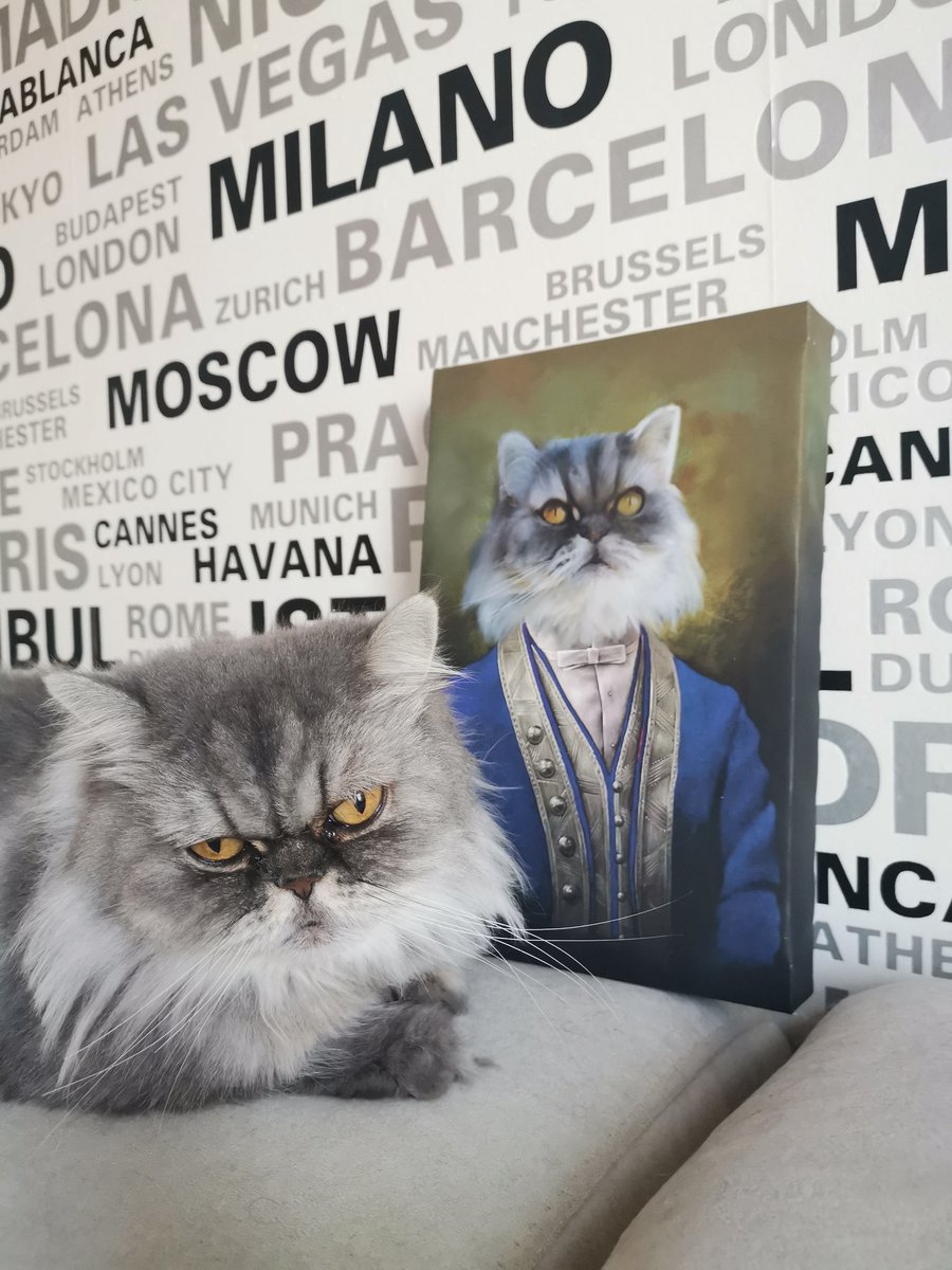 Pawsposing tweet media