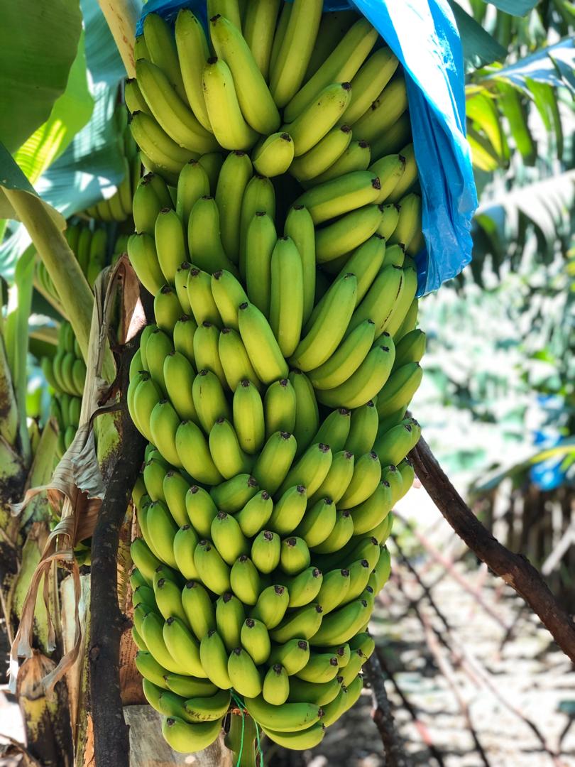 mynzagric254's tweet photo. Better to be a “failure” doing work that you love than be a “success” doing what you hate.#DjEvolve #agribusinessTalk254 #agriculture https://t.co/9cwxTe36Mh
