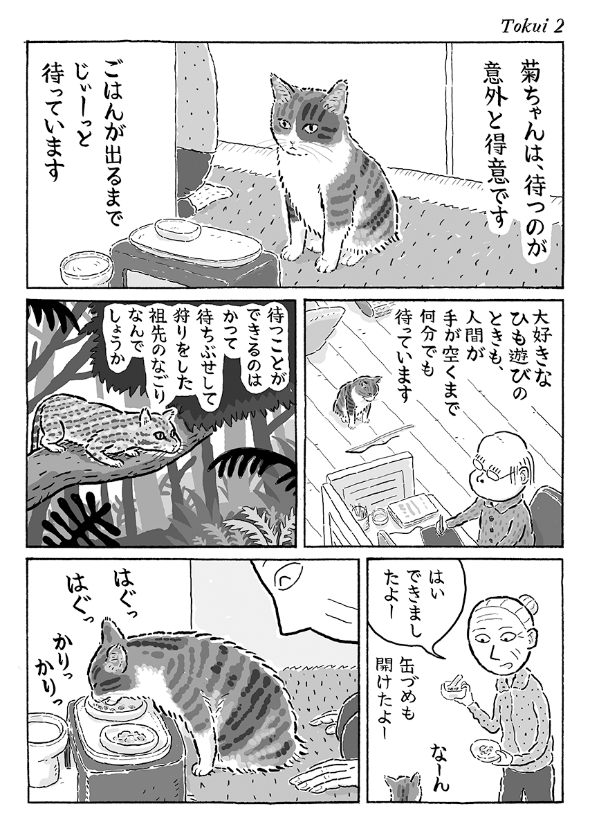 2ページ猫漫画「待つの得意」 #猫の日 