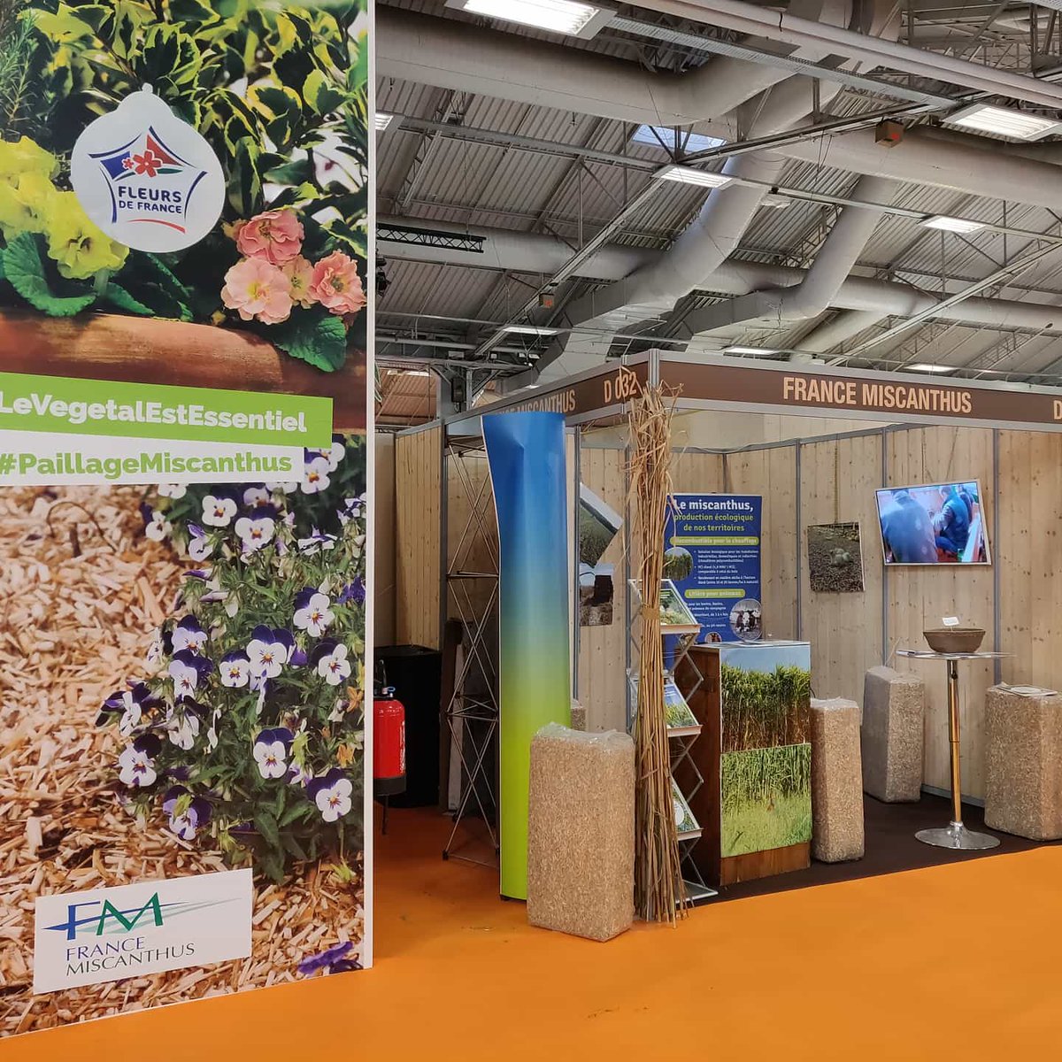 FMiscanthus's tweet photo. Retrouvez nous dès aujourd'hui et toute la semaine au #Salondelagriculture, Hall 2.2 Stand D32 ! #miscanthus https://t.co/LbQUgZDjGZ