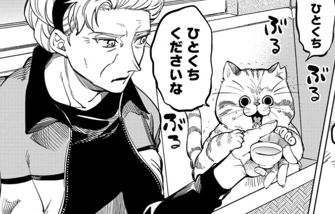 猫の日だって 