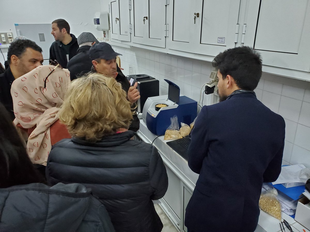 Dirk E Maier tweet media