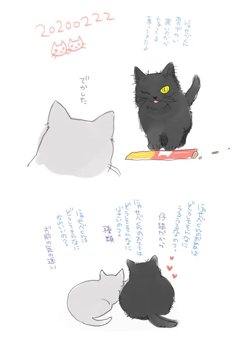 「僕は仲良くしようと思って差し出したら突然…ッ」

猫の日らくがき 