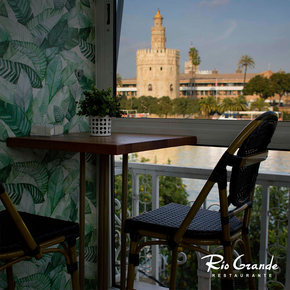 RioGrandeSev's tweet photo. ¿Te imaginas disfrutando tranquilamente de estas vistas mientras compartes una deliciosa comida? Solo en Río Grande es posible.
#RestauranteRioGrande #Terraza #Restaurante #Eventos #Sevilla #CocinaHonesta https://t.co/b2hg3DNCLJ