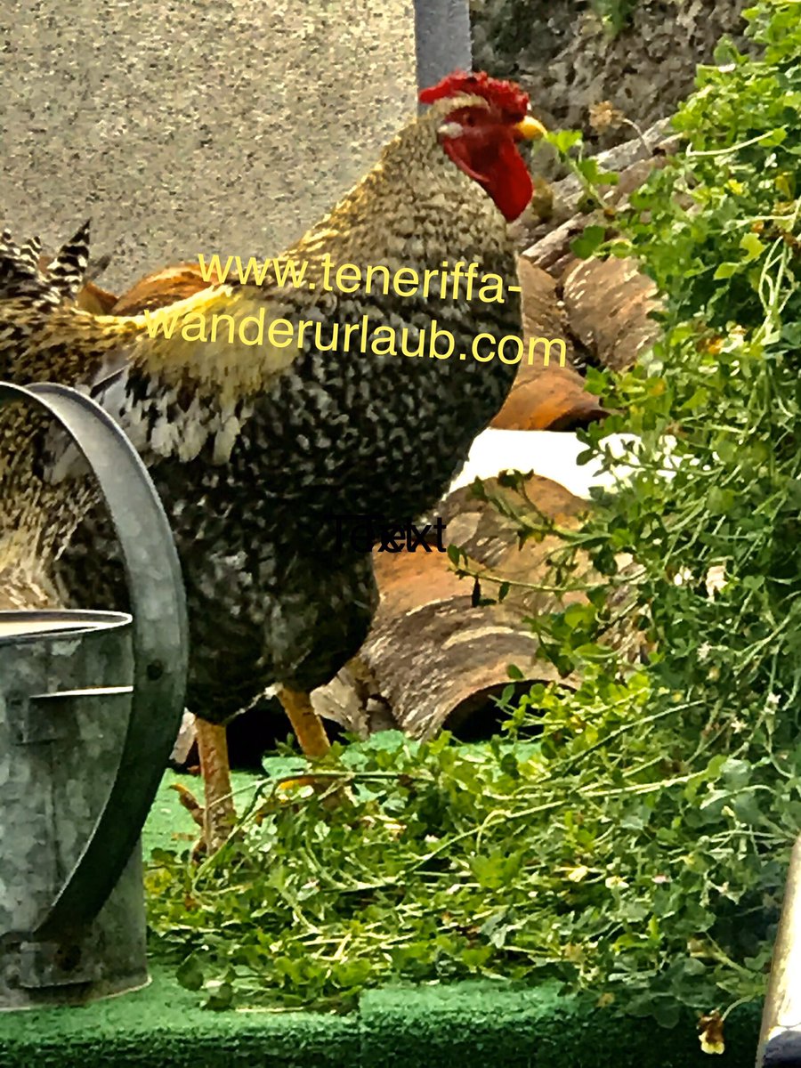 Mach mal Urlaub bei uns!

Take a holiday with us!

¡Tómate unas vacaciones con nosotros!

youtu.be/005-q7DVMAw
Sponsors