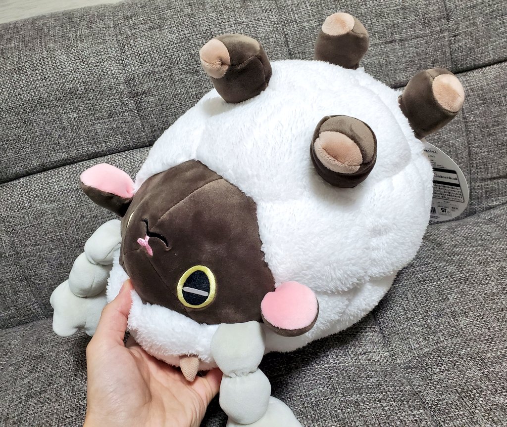 ポケセンでもっちりまんまるクッションウールー購入してきました