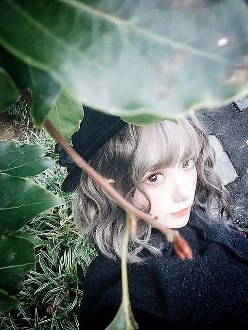 コスプレイヤーしろさきのTwitter画像4