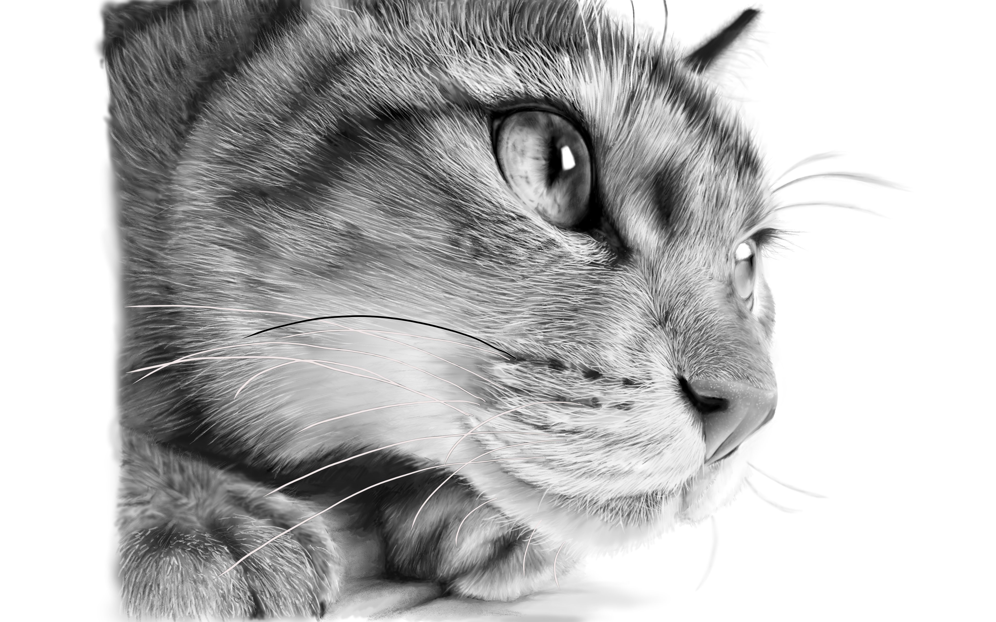 龍に導かれ　猫　絵　イラスト 猫😻ねこイラストレーター 365CAT.ART | 人間を操る猫😼宇宙Ver
