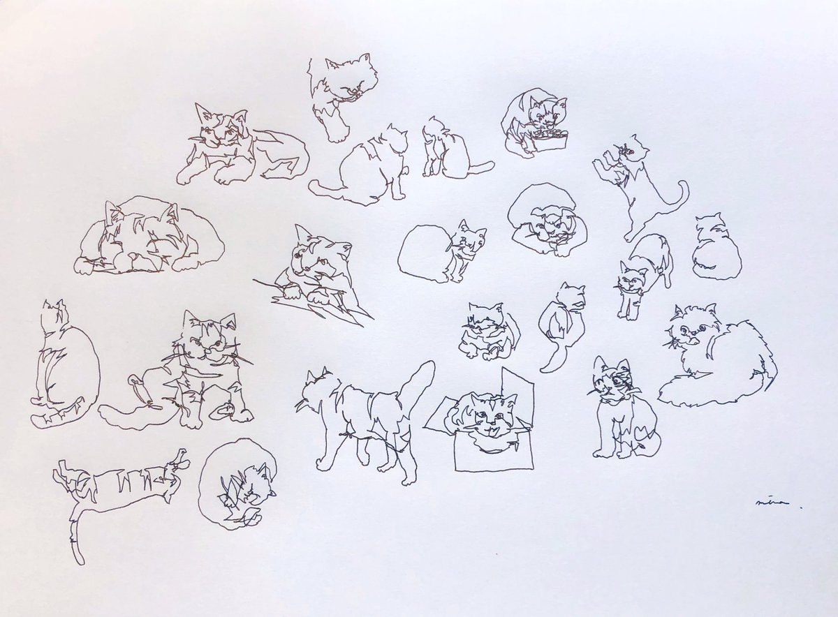 Ngagolak 猫 イラスト 一筆書き