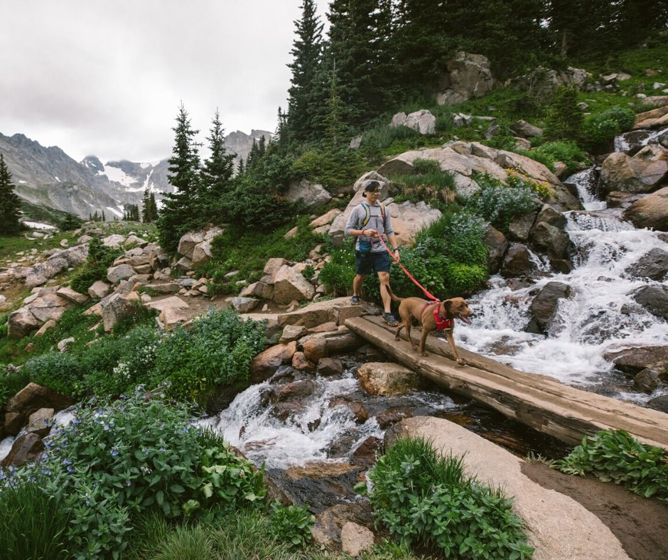 Win the trip of a lifetime to the Front Range of the Rocky Mountains with <a href="/RuffwearUK/">Ruffwear UK</a> 

💵 Buy any item from the SS20 New Front Range Collection - bit.ly/ShopRuffwear
📁 Upload your photo of receipt to: ruffwearcompetition.com
📝 Add details &amp; submit!

Closes 31st March