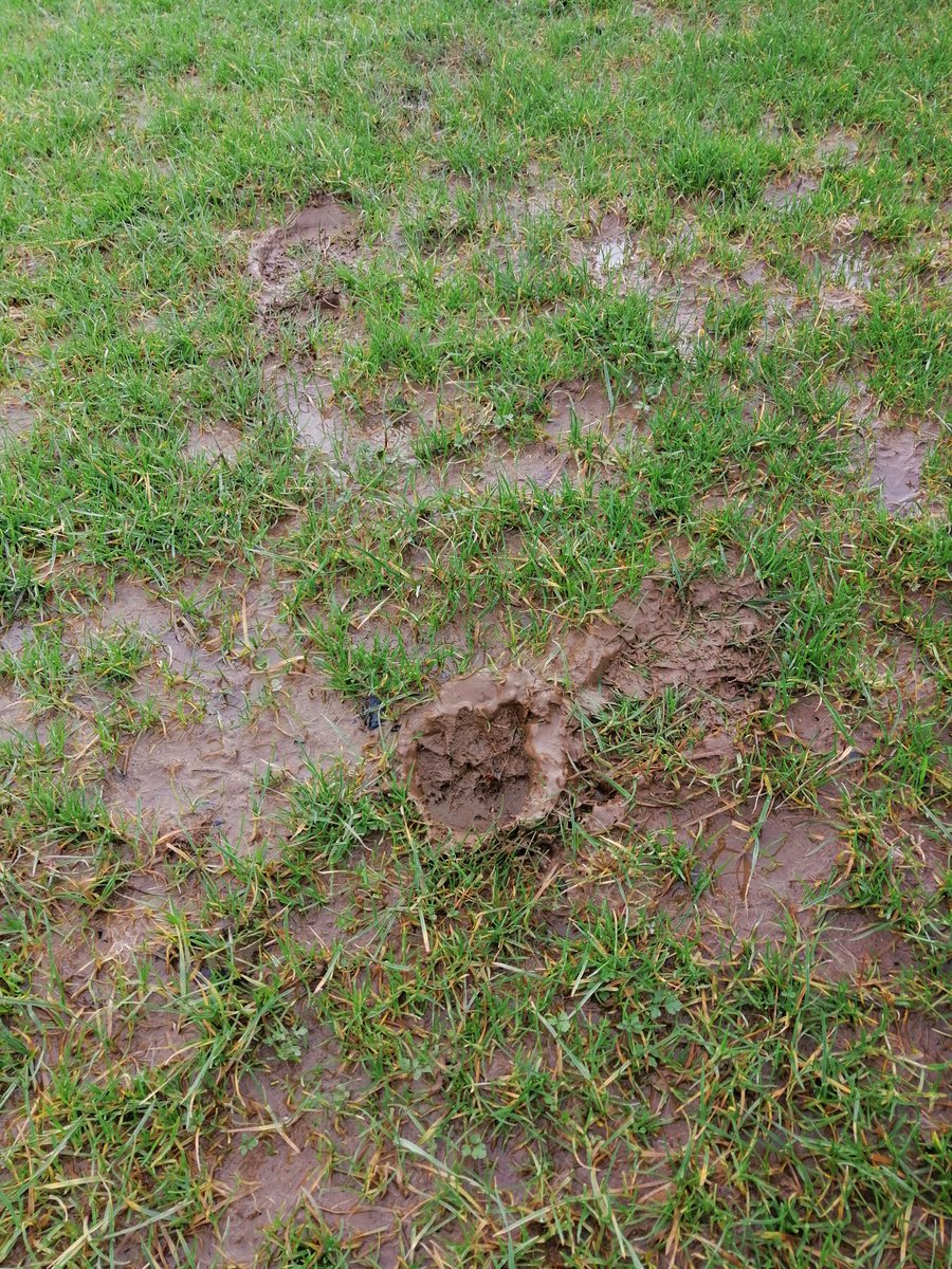 Matches  📴

Unfortunately the pitch is still not playable for today's Emrys Morgan Cup match against <a href="/EmlynFc/">Newcastle Emlyn AFC</a>

Our reserves match at Newcastle Emlyn is also off. 🙁

We will try again next week

<a href="/SCards_Football/">Ceredigion League</a>
<a href="/AllWalesSport/">All Wales Sport</a>
<a href="/CentralWalesFA/">Central Wales FA</a>