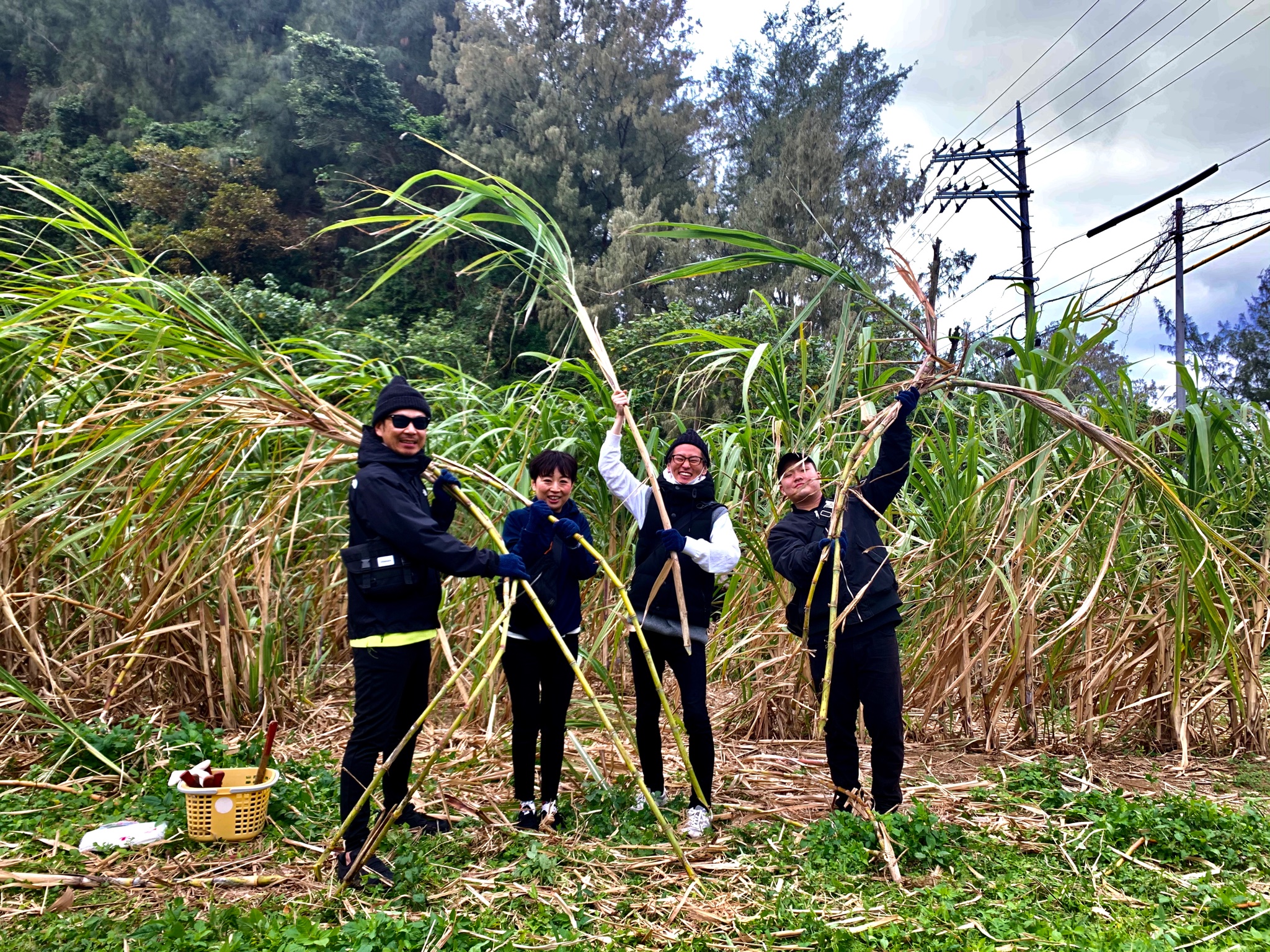 沖縄体験ニライカナイ はいさーい 仲良し社員旅行 サトウキビ刈りと丸かじり体験 最短コースであれば次の観光も楽しめます 次回は みんなで黒糖作りをしましょう Okinawa 沖縄 沖縄旅行 沖縄観光 沖縄県 恩納村 山田 沖縄体験