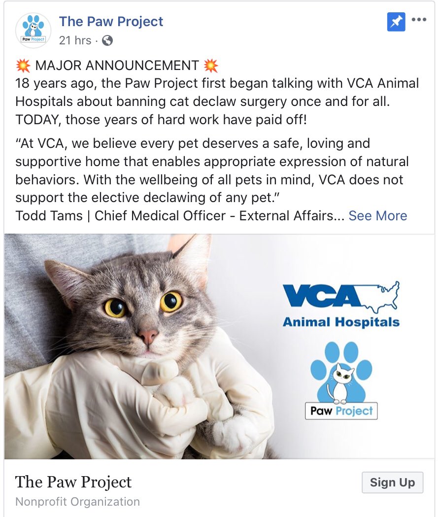DeclawVetsRevil's tweet photo. #AVMAmeets #CatVets #AVMAvets #AAHAHealthyPet #vettech #AAHA2020 #AAHAday #njvma #marspetcare #banfield #cat2vetday #VCApetHealth #avma2020 #vcapets #catvets #felinevet #aafp #fearfreehappyhomes #aafp2020 #felinespecialist #catfriendlypractice #studentavma #fearfreepets https://t.co/5rSHN1LdAa