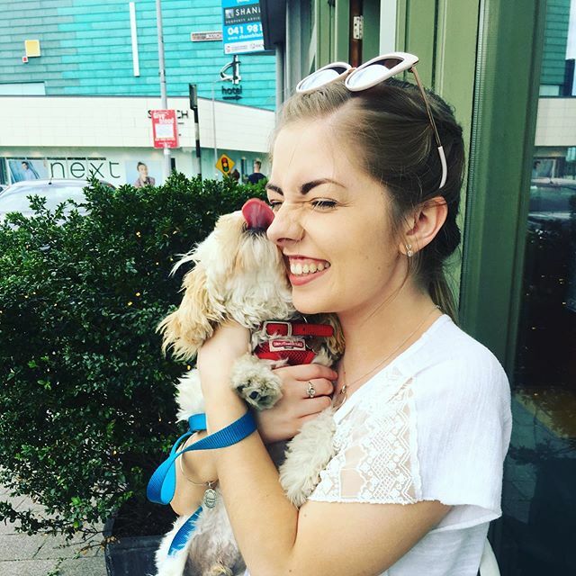 Potentially my favourite photo of all time! Nothing like puppy kisses 😅❤️🐶 @rosiemohanx #cavachon #cavachonsofinstagram #cavachonclub