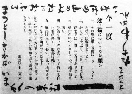 ダイゾー ナチュラル 【直筆サイン本】ノラや 内田百閒 | www